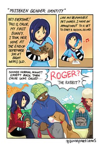 Image 3 of Bunny Mom Volume 1