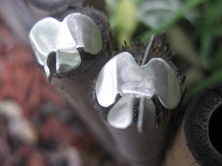 Image of Dogwood pea flower stud earrings forged in sterling silver