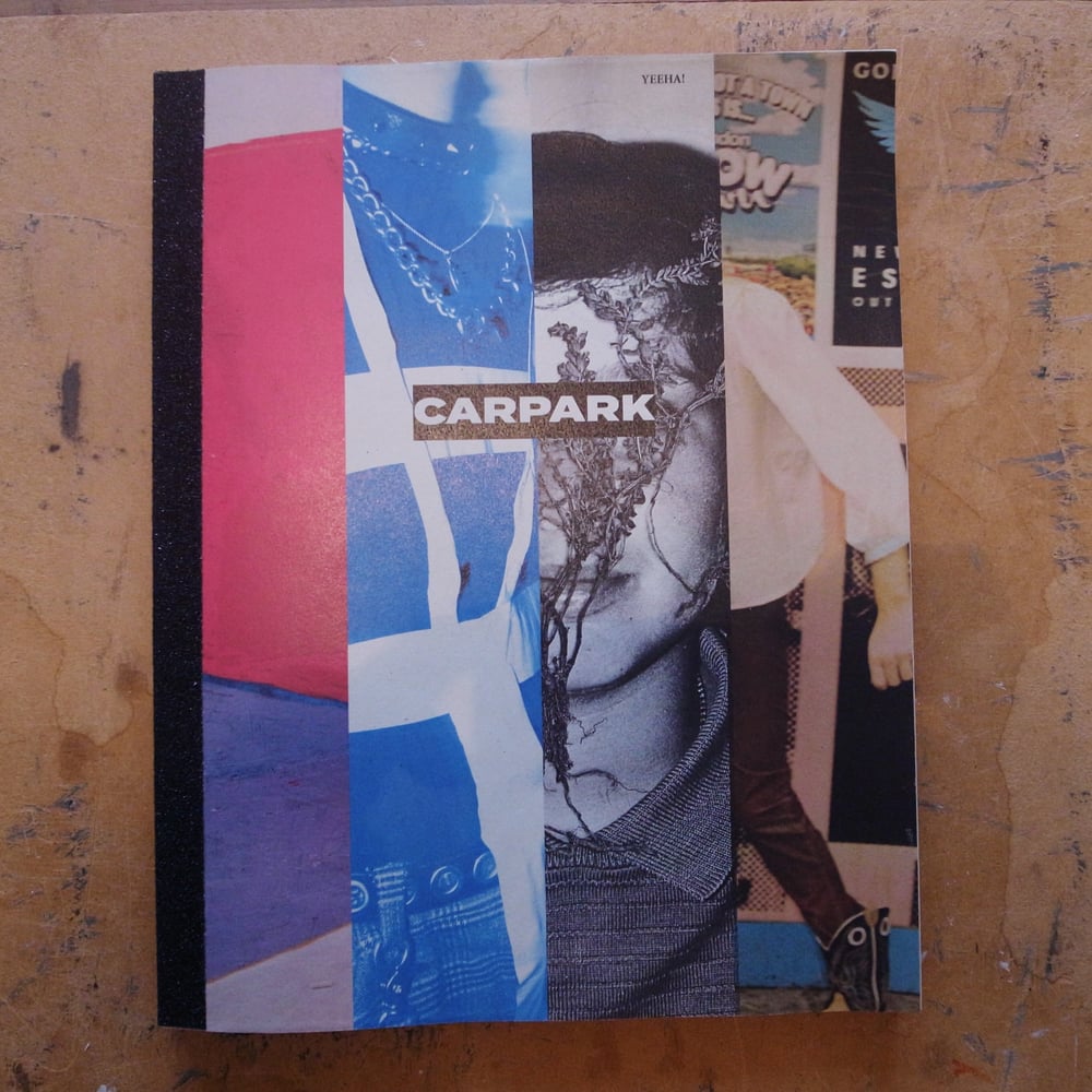 Image of Carpark Magazine Issue 12 / Tutti Frutti Cover / Abrasive Spine