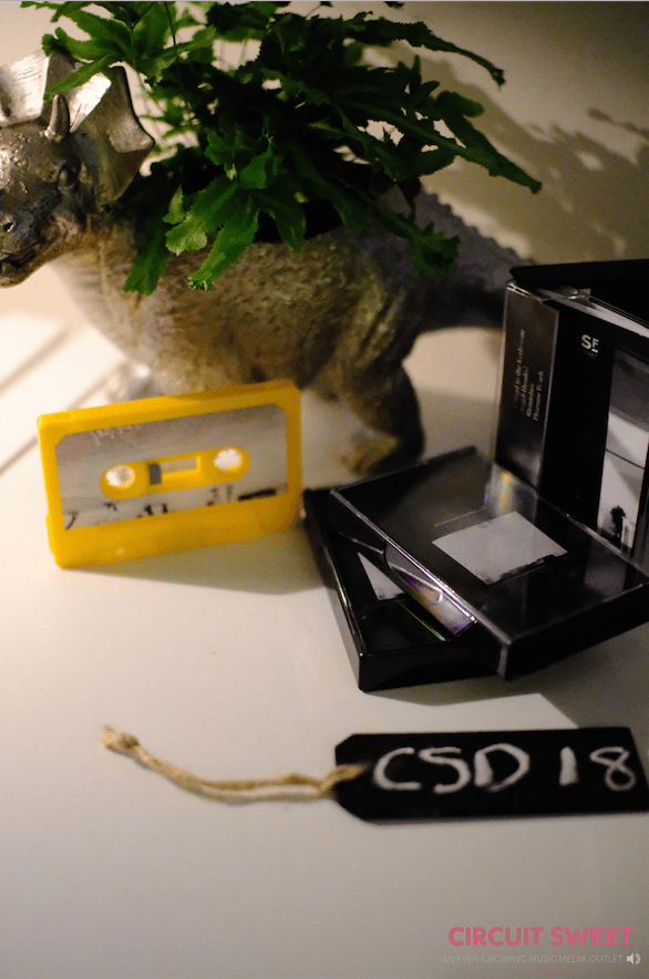 Image of CASSETTE STORE DAY 2018 RELEASE  | MT. DOUBT - THIS MUST MEAN SOMETHING AWFUL