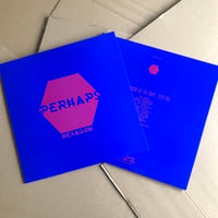 Image 3 of PERHAPS 'Hexagon/Hexagain' LP & CD-R