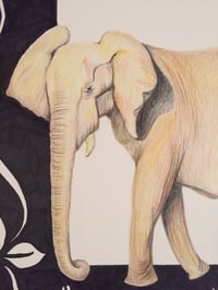 Image 2 of “E” (elephant)