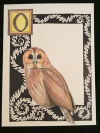 Image 1 of “O” (owl)