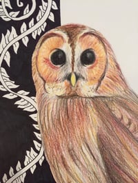 Image 3 of “O” (owl)
