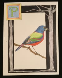 Image 3 of “P” (painted bunting)