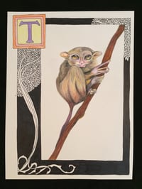 Image 2 of “T” (tarsier)