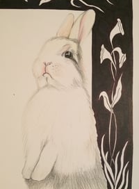 Image 2 of “R” (rabbit)