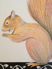Image 2 of “S” (squirrel)