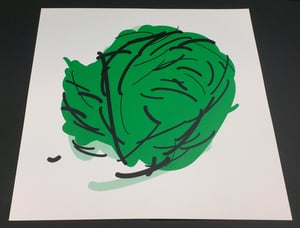 Image of Head of Cabbage (large)