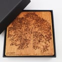 Tree Coasters