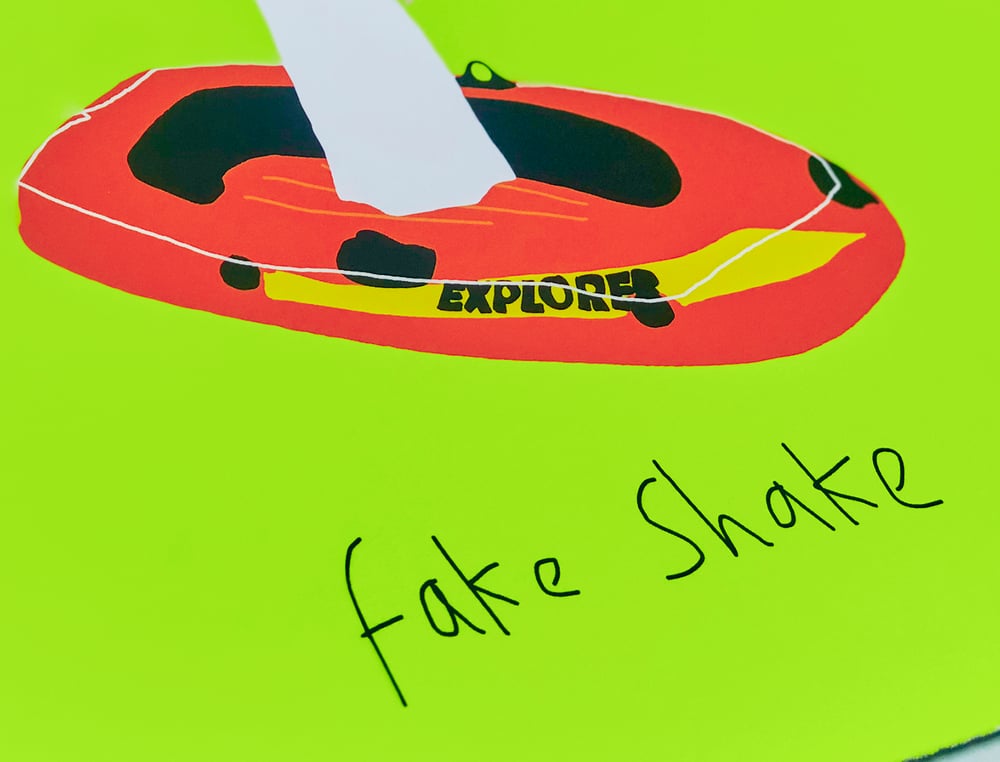 Image of fake shake