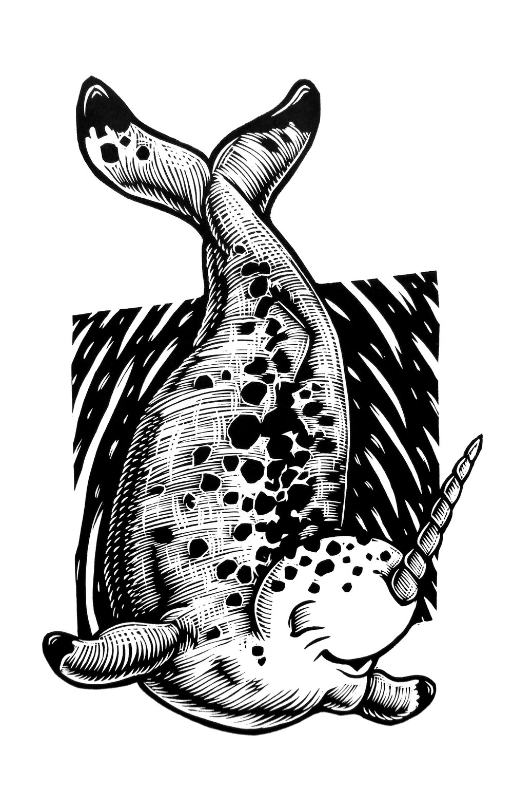 Narwhal T-shirt (A2) **FREE SHIPPING**