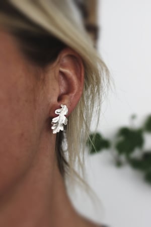 Image of *SALE* oak leaf stud earrings (in silver or 9ct gold)