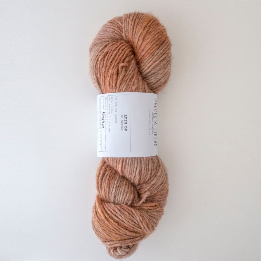 Image of Pumpkin - Lush DK