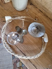 Image 3 of La baladeuse champignon