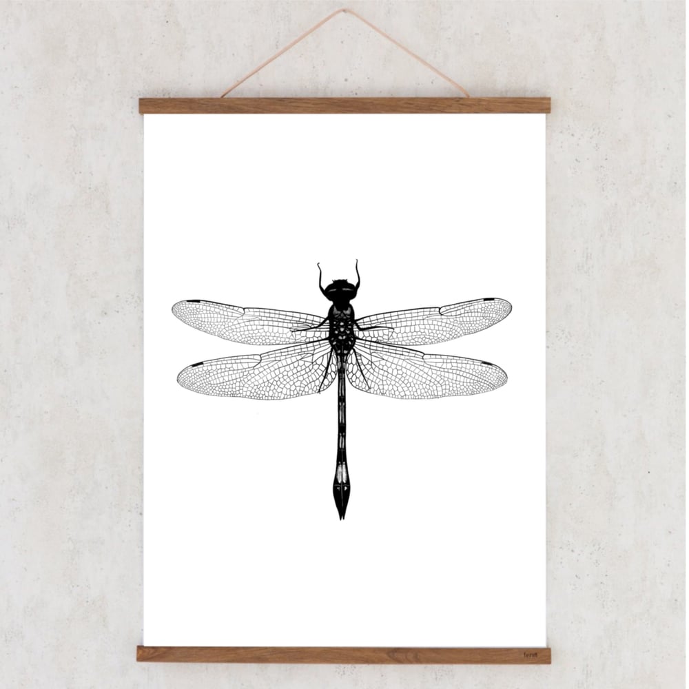 Image of Affiche A3 Libellule/ Dragonfly A3 poster