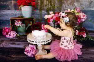 Image of Smash & Splash Birthday Session RETAINER ($425 Total)