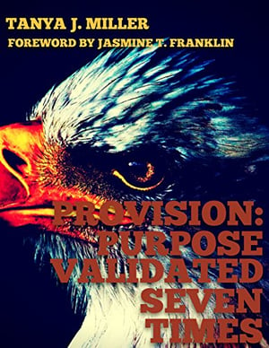 Image of ProVision: Purpose Validated Times Seven book