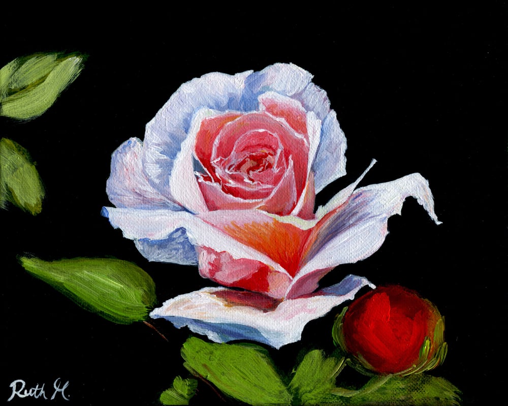 Image of Immaculate Giclee Print