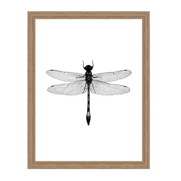 Image of Affiche A4 Libellule/ Dragonfly A4 poster 