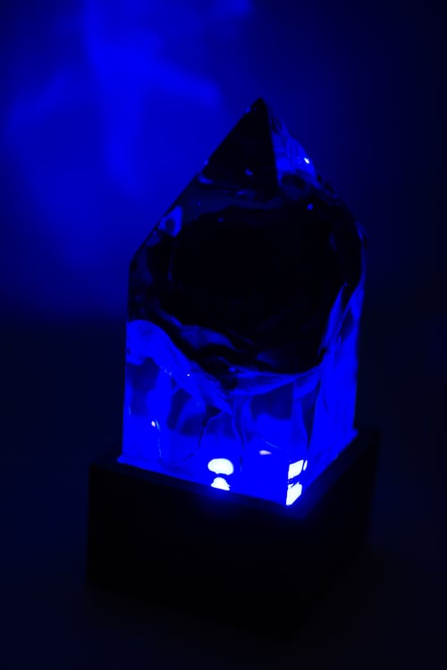 Image of Halloween Velvet Red Rose, Black Light Prism Lamp