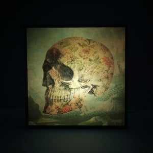 Image of Porcelain skull