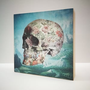 Image of Porcelain skull