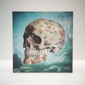 Image of Porcelain skull