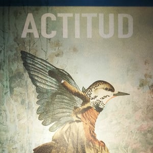 Image of Actitud