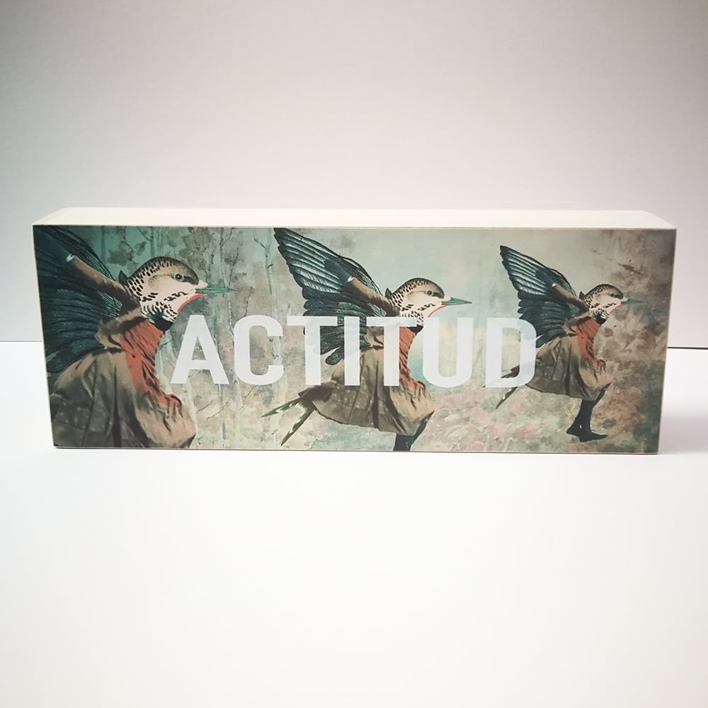 Image of Actitud rectangular