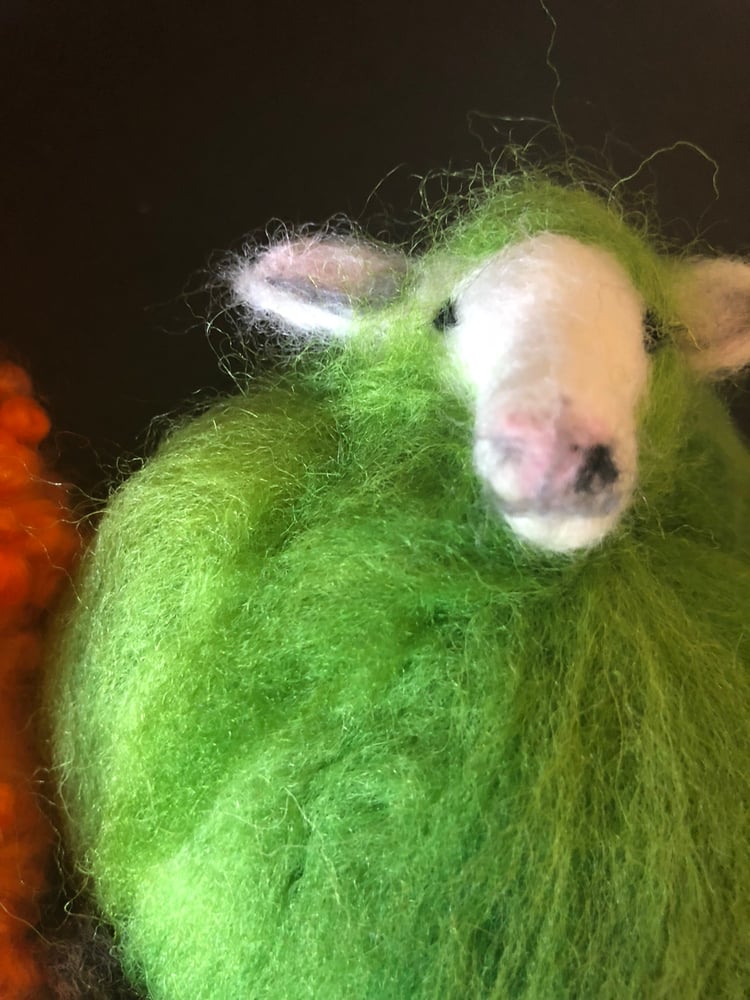 Image of My amazing Multicoloured Sheep