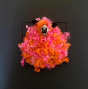 Image of Multicoloured Wensleydale sheep