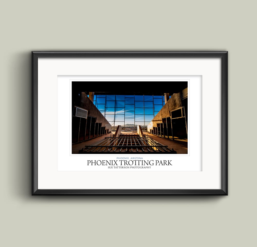 Image of Phoenix Trotting Park