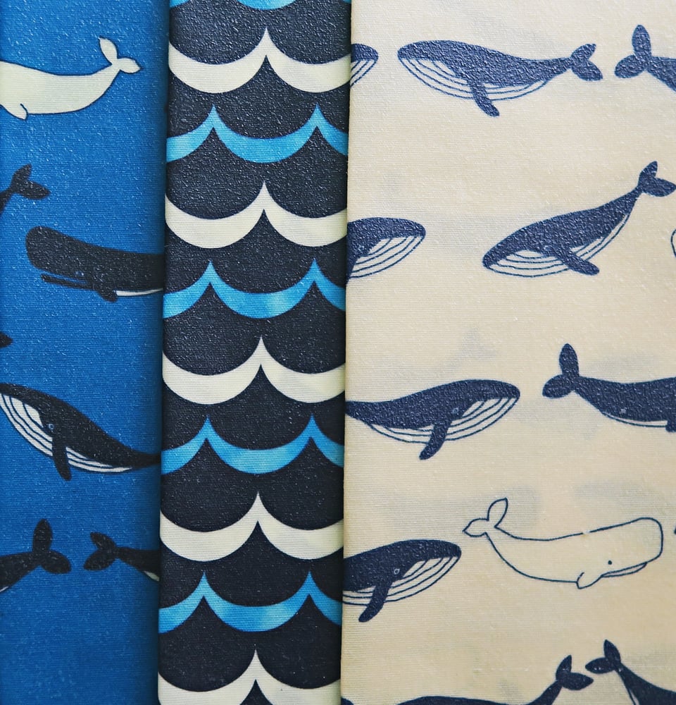 Image of Oh Whale! 