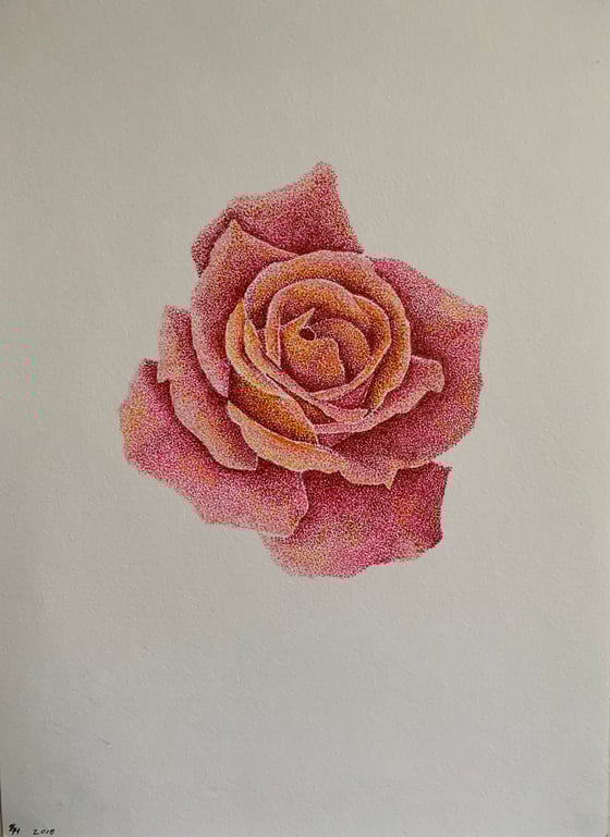 Image of Rose