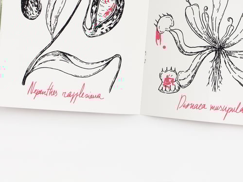 Image of JARDIM BOTÂNICO I — Carnívoras, Carolina Maria