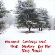 Image of HOLIDAY GREETING CARDS
