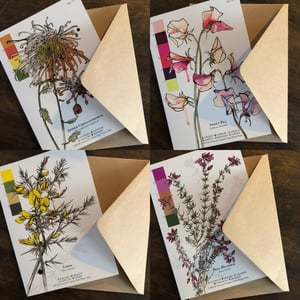 Image of Botanical greetings cards