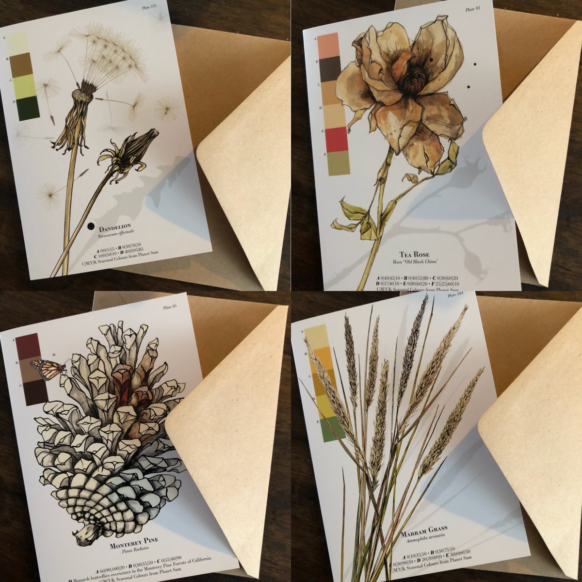 Sam Pickard — Cards