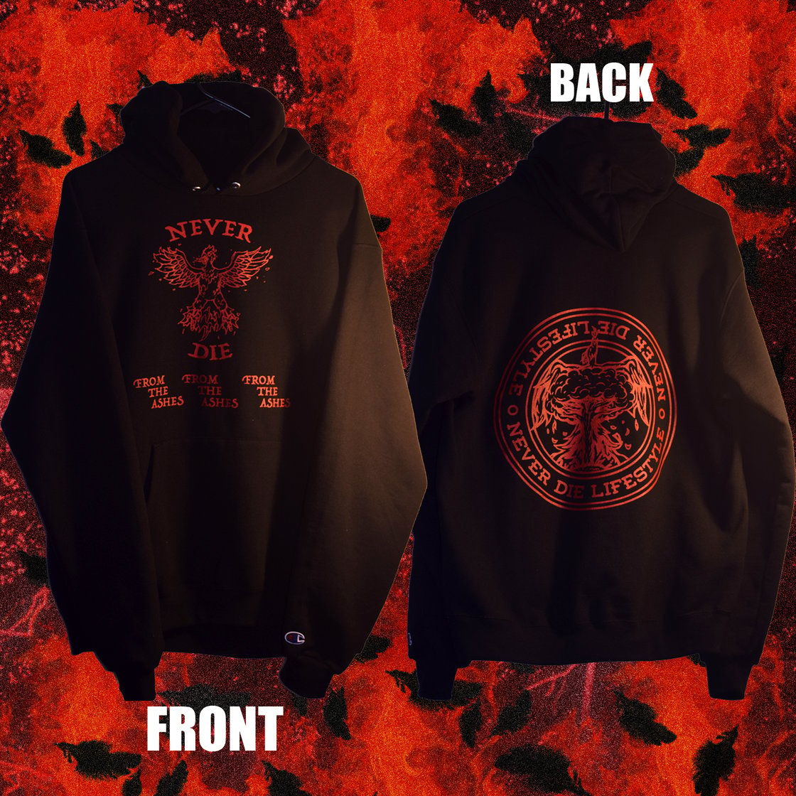 Image of From The Ashes Hoodie (BLACK)