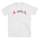 Image 3 of AMERICA
