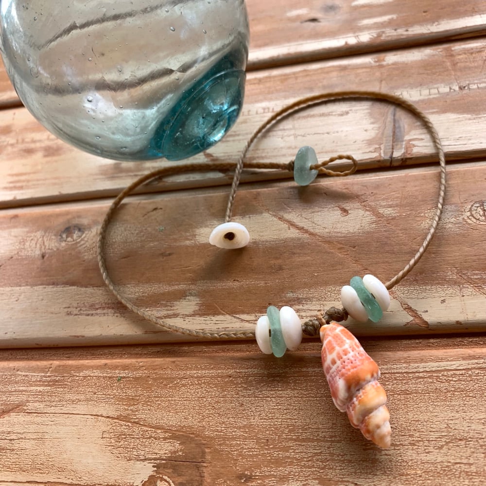 Image of Hawaiian pontifical miter shell necklace