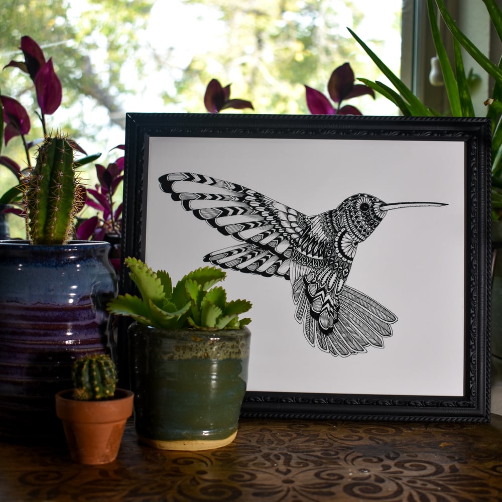 Image of Flora the Hummingbird