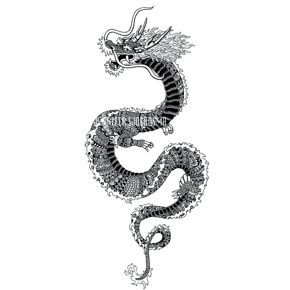 Image of Skulblaka the Dragon
