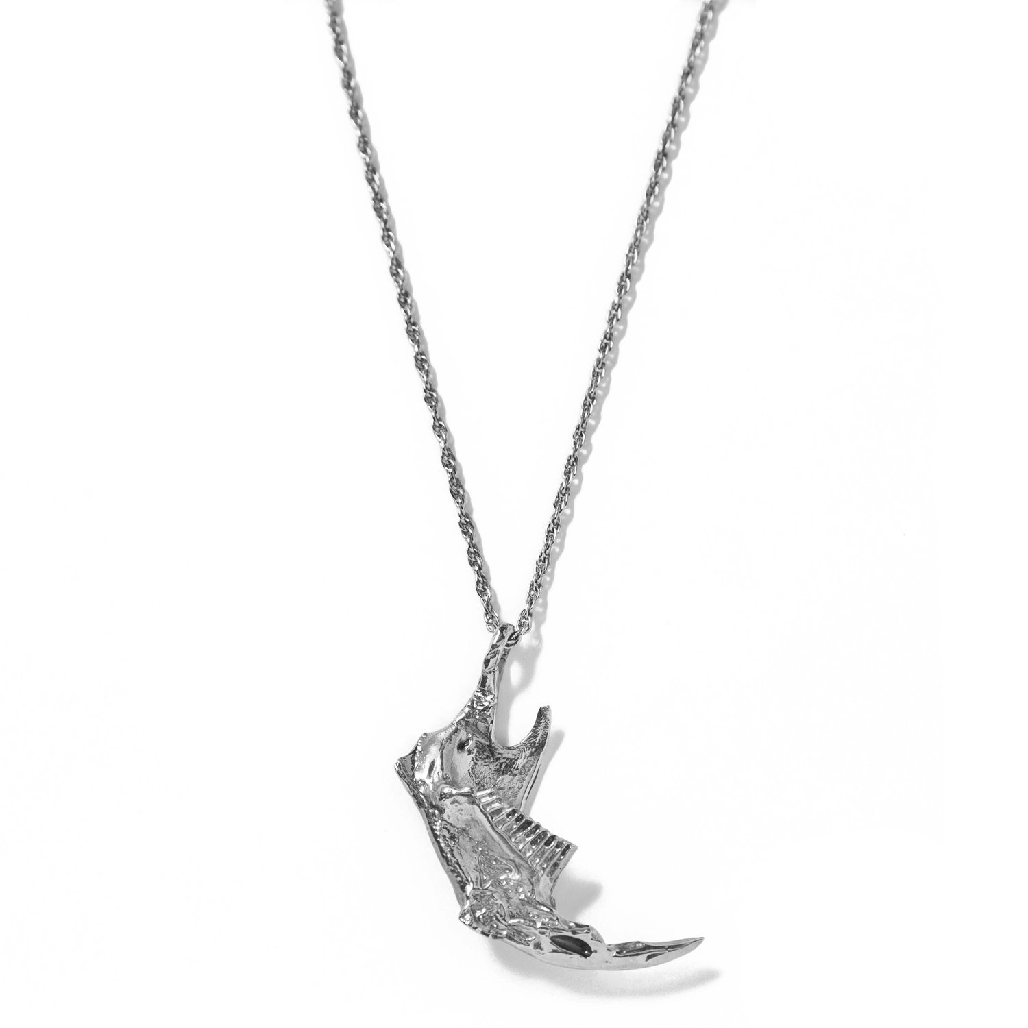 Image of Prairie Rat Jaw Necklace
