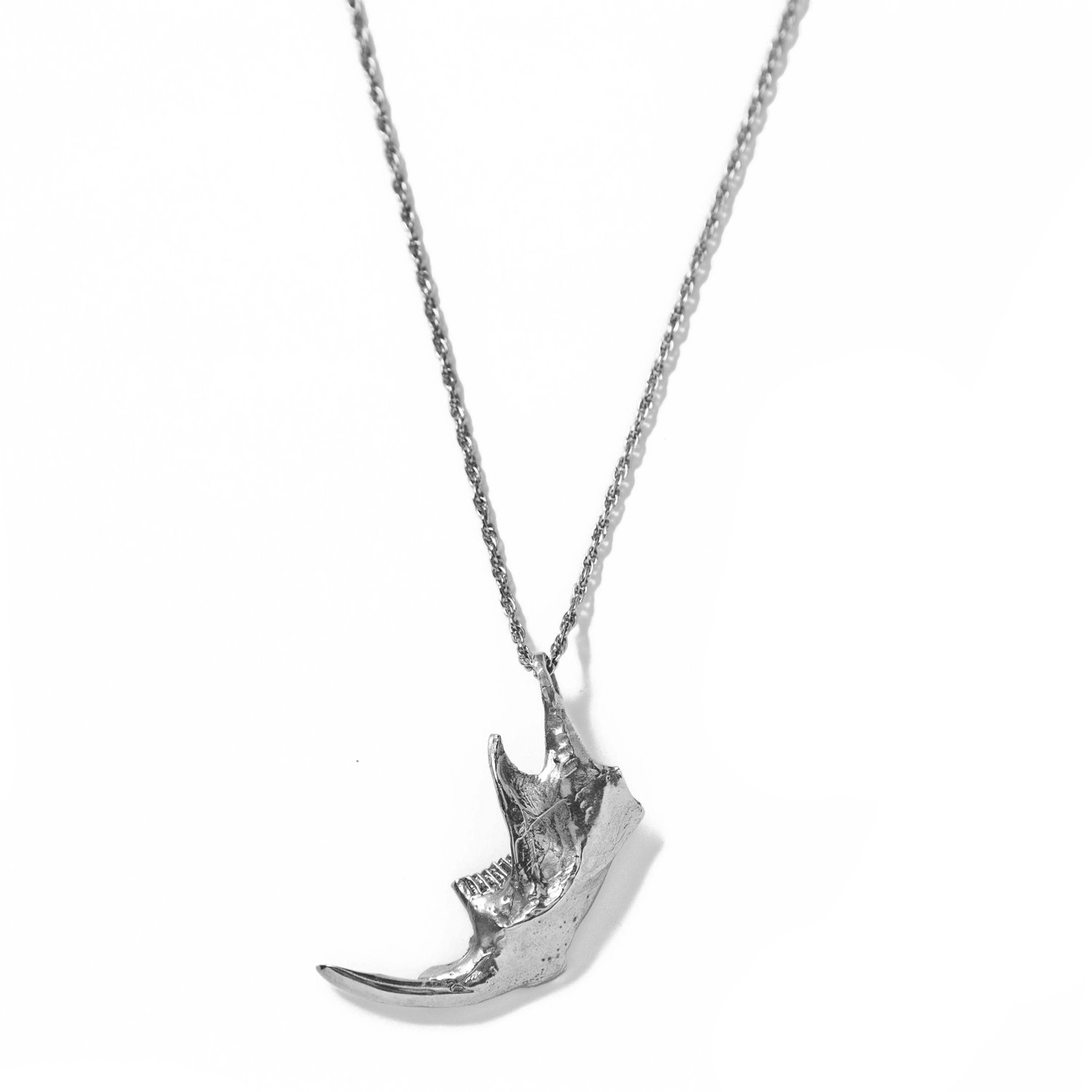 Image of Prairie Rat Jaw Necklace