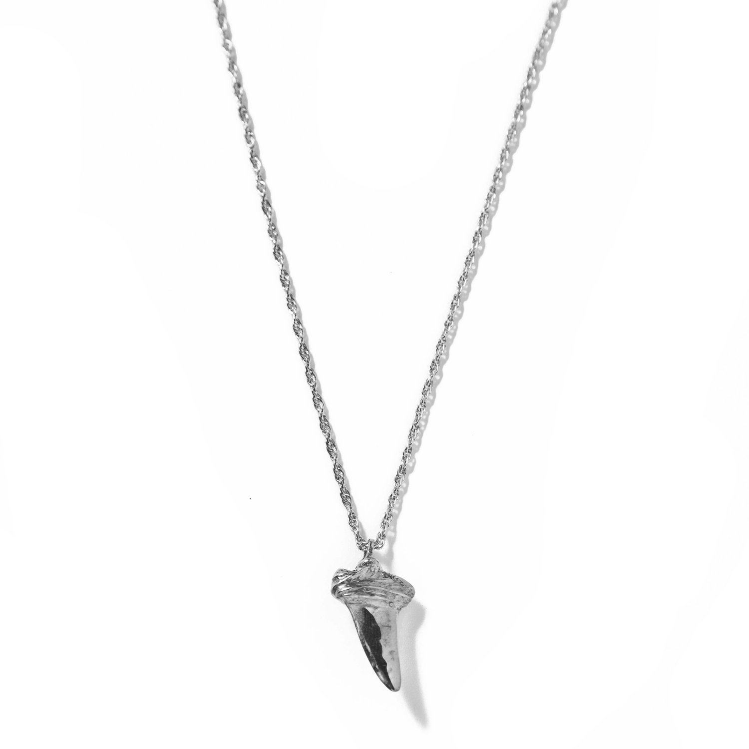 Image of Shark Tooth 2