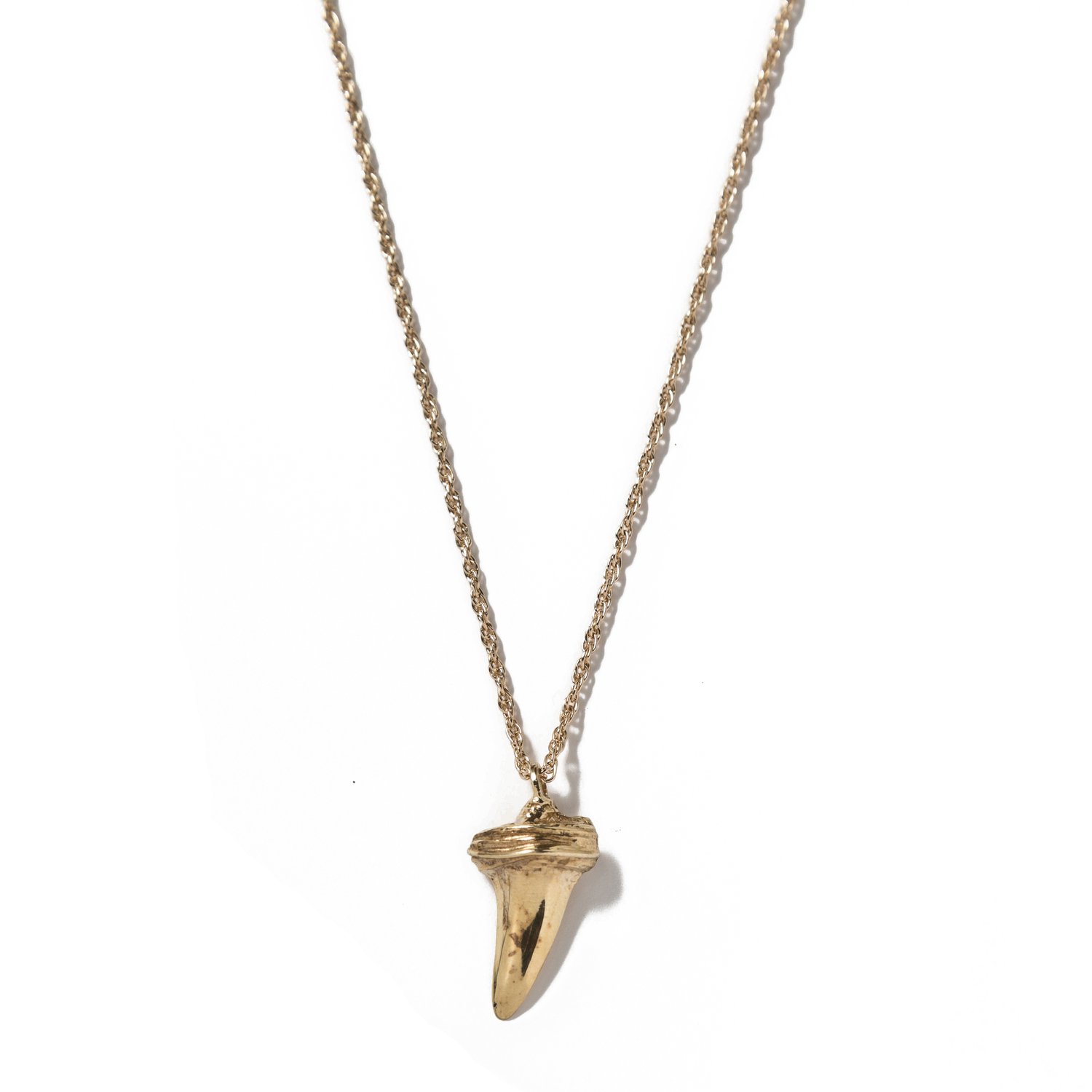 Image of Shark Tooth 2