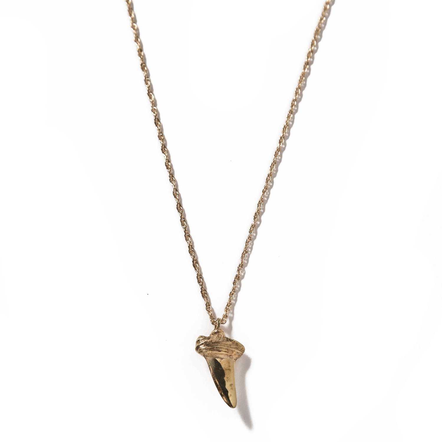Image of Shark Tooth 2