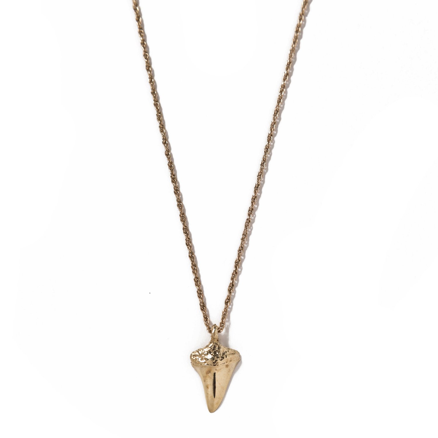 Image of Shark Tooth 1 